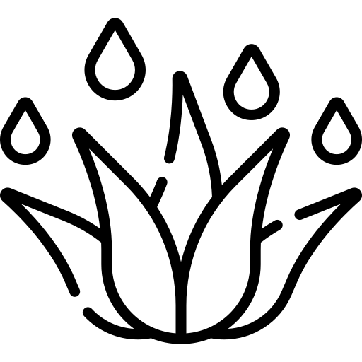 Tiefenpflege